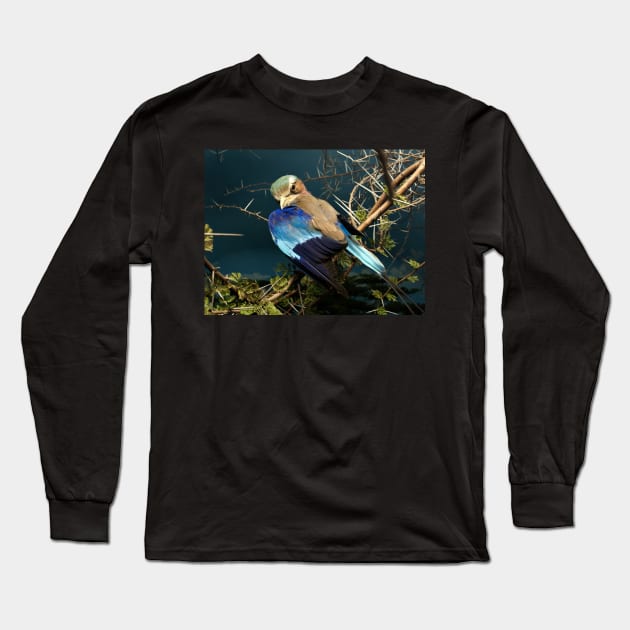 Natural environment diorama - bird with blue wings Long Sleeve T-Shirt by Reinvention